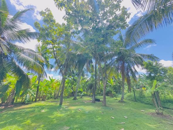 34 Perch Land for Sale in Angoda | අංගොඩ පර්චස් 34ක ඉඩමක් විකිණීමට